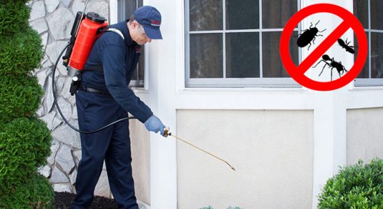 Pazarlar Gümüşkurt İlaçlama böcek ilaçlama ve haşere kontrolü — ilaclama-tr.com